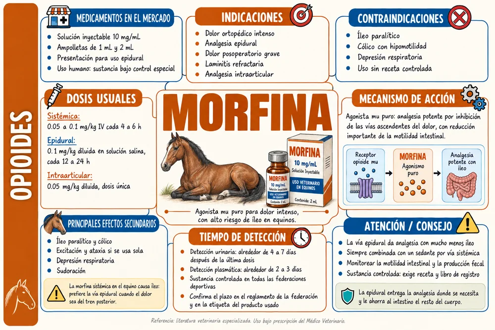 Morfina