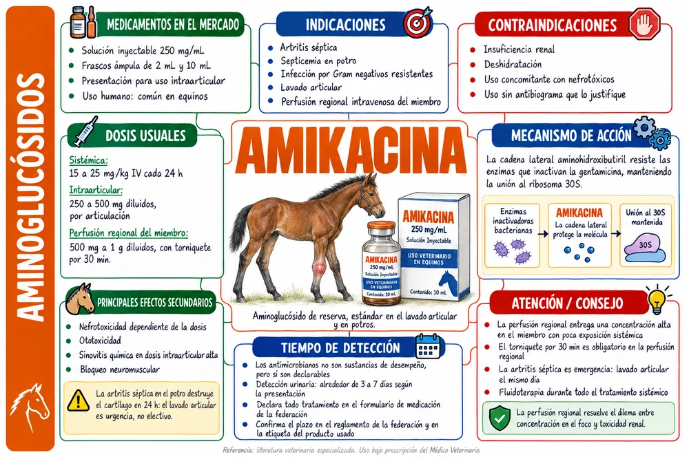 Amikacina